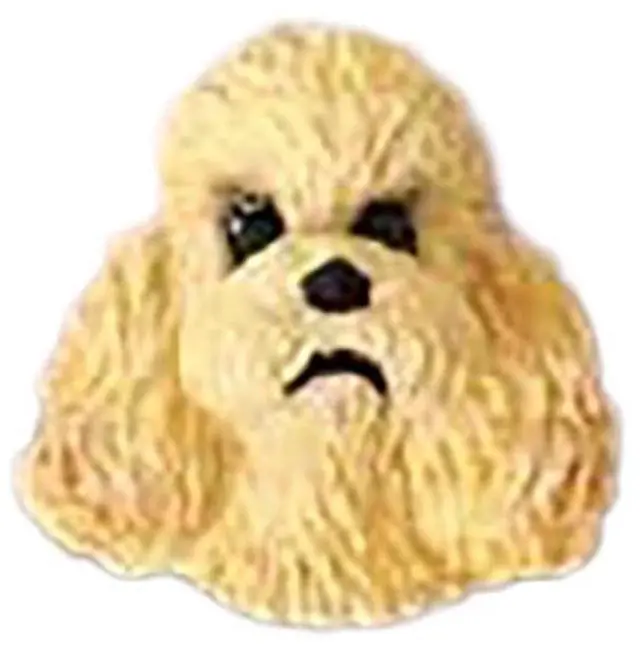 Main image of Conversation Concepts Poodle Apricot w/Sport Cut Earrings Post
