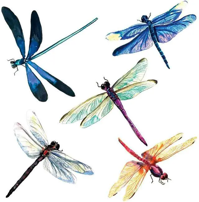 Main image of PAPER PRODUCTS DESIGN Libelula Dragonflies Beverage Napkin, 20 CT