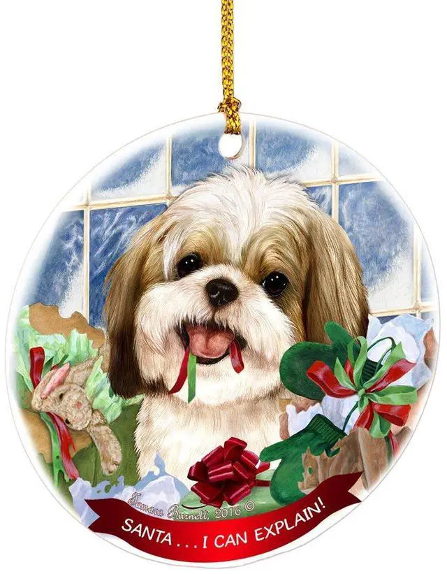 Main image of Shih Tzu Gold White Santa I Can Explain Round White Porcelain Hanging Ornament
