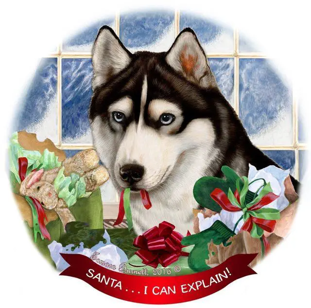 Main image of Siberian Husky, Black & White Dog Porcelain Ornament 'Santa.. I Can Explain!'