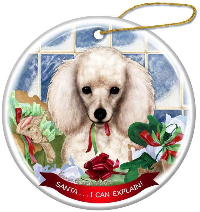 Main image of White Poodle Dog Porcelain Hanging Ornament Pet Gift 'Santa.. I Can Explain!'
