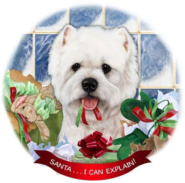 Main image of West Highland Terrier Westie Dog Porcelain Ornament 'Santa.. I Can Explain!'