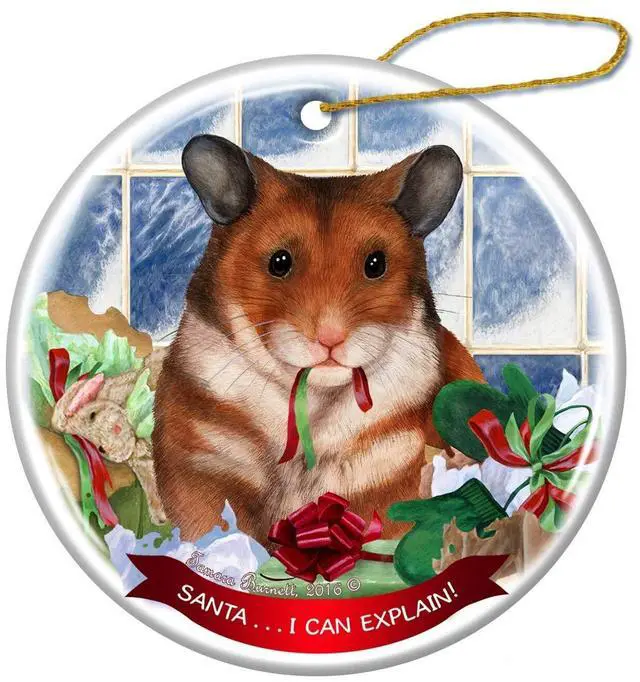 Main image of Hamster Porcelain Hanging Ornament Pet Gift 'Santa.. I Can Explain!'