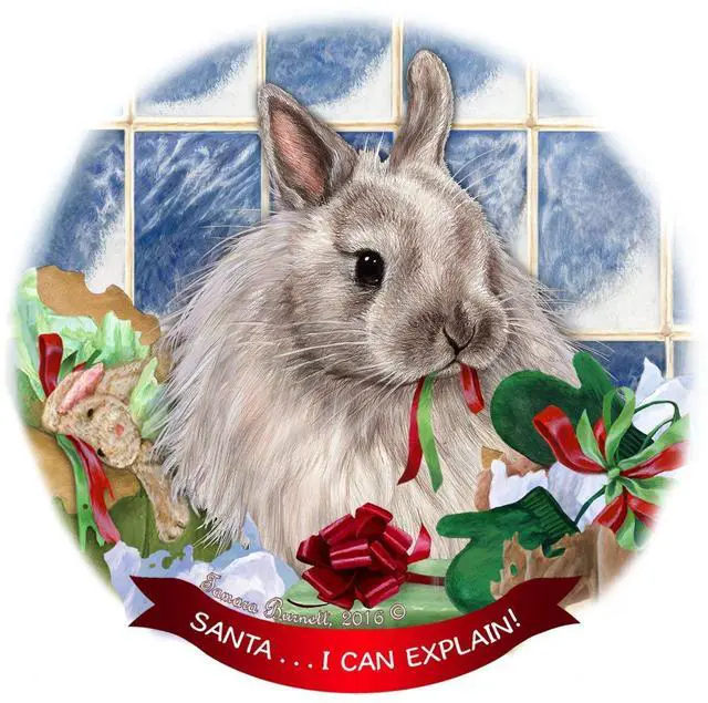 Main image of Jersey Wooley Rabbit Porcelain Hanging Ornament Pet Gift 'Santa.. I Can Explain!