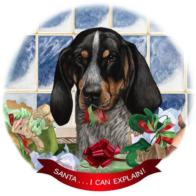 Main image of Blue Tick Coonhound Dog Porcelain Ornament Pet Gift Santa I Can Explain!