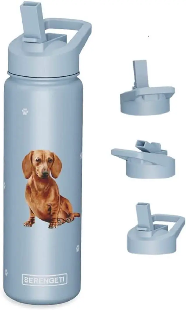 Alt view image 2 of 3 - E&S Pets Stainless Steel Water Bottle 24 Oz, Spill Proof (Red Dachshund)