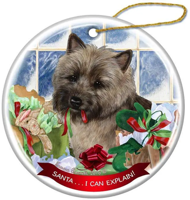 Main image of Brindle Cairn Terrier Dog Porcelain Ornament Pet Gift Santa I Can Explain!