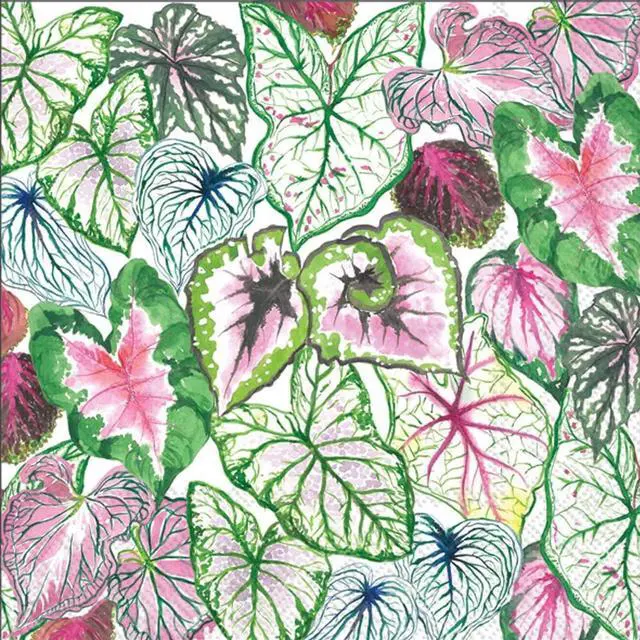 Main image of Boston International 6.5 x 6.5 in. Paper Lunch Napkin Succulent Leaves