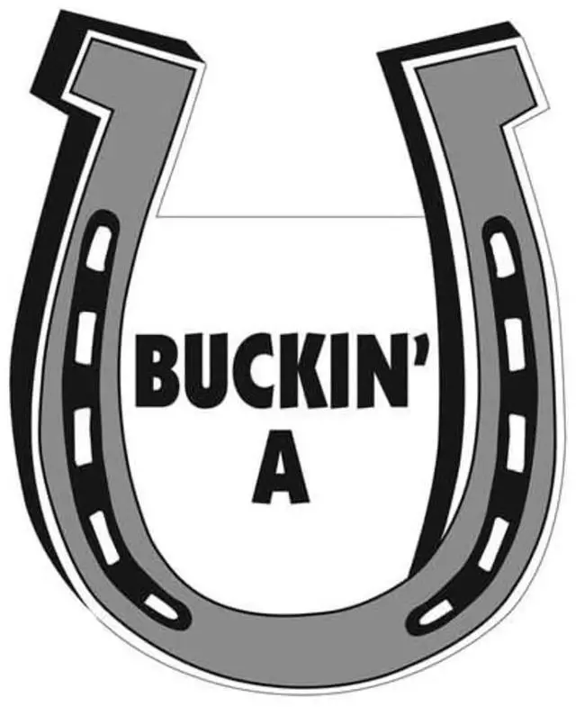 Main image of Pet Gifts USA Buckin' A Horseshoe Magnet for Car or Trailer