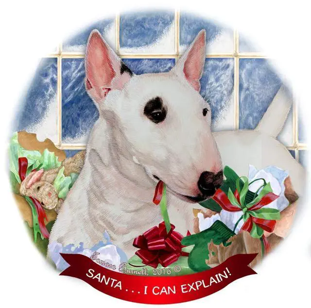 Main image of Mini Bull Terrier White Porcelain Ornament Pet Gift Santa I Can Explain!