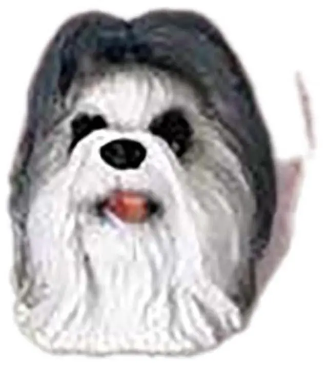 Main image of Conversation Concepts Shih Tzu Gray Post Earrings