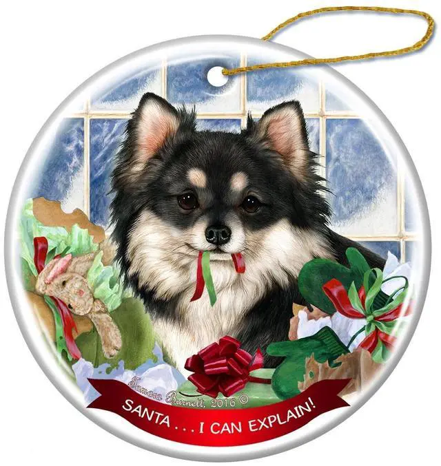 Main image of Black White Long Haired Chihuahua Porcelain Ornament Santa. I Can Explain!