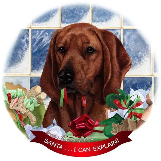 Main image of Redbone Coonhound Dog Porcelain Ornament Pet Gift 'Santa.. I Can Explain!