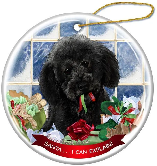 Main image of Black Labradoodle Dog Porcelain Ornament Pet Gift 'Santa.. I Can Explain!'