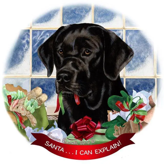 Main image of Black Labrador Lab Dog Porcelain Ornament Pet Gift 'Santa.. I Can Explain!'