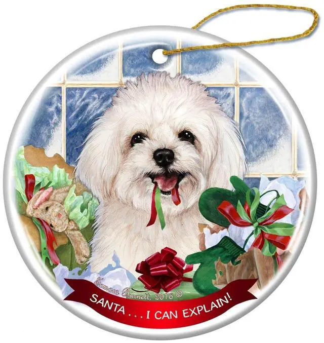 Main image of Maltipoo Dog Porcelain Hanging Ornament Pet Gift 'Santa.. I Can Explain!'