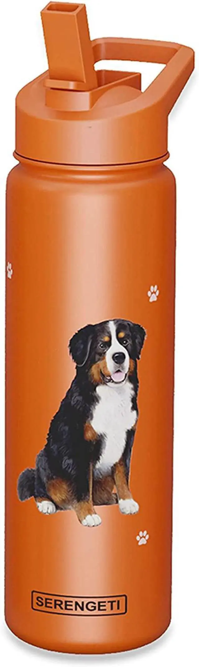 Main image of E&S Pets Stainless Steel Water Bottle 24 Oz., Spill Proof (Bernese Mountain Dog)