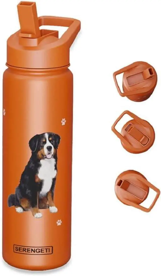 Alt view image 2 of 3 - E&S Pets Stainless Steel Water Bottle 24 Oz., Spill Proof (Bernese Mountain Dog)