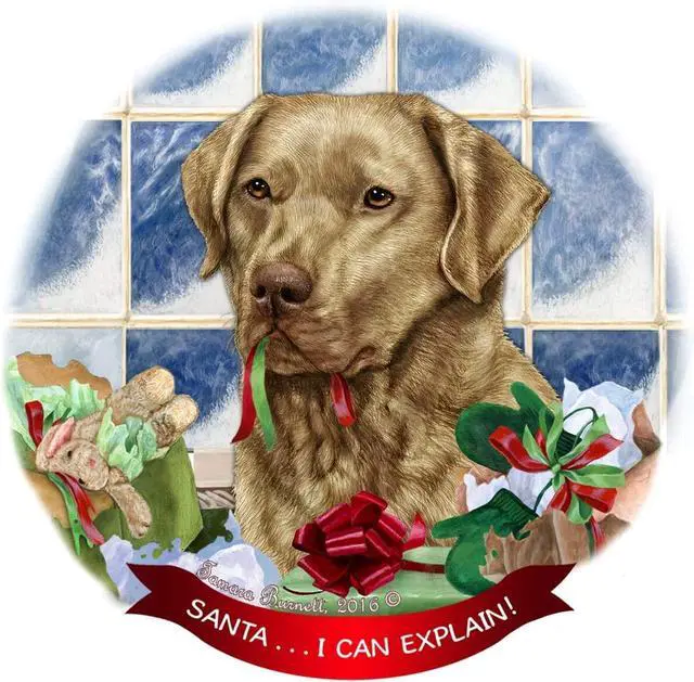 Main image of Chesapeake Bay Retriever Dead Grass Porcelain Ornament 'I Can Explain!'