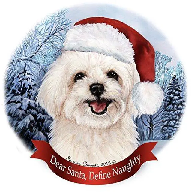 Alt view image 3 of 3 - Holiday Pet Gifts Maltipoo Santa Hat Dog Porcelain Christmas Tree Ornament