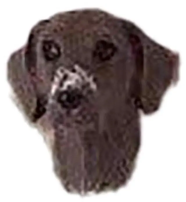 Main image of Conversation Concepts German Short Haired Pointer Earrings Post
