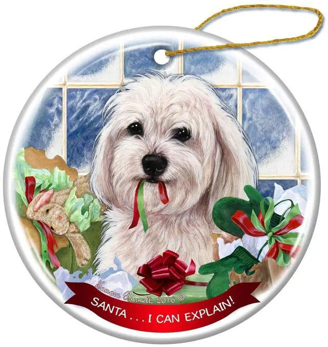 Main image of White Havanese Dog Porcelain Hanging Ornament Pet Gift 'Santa.. I Can Explain!'