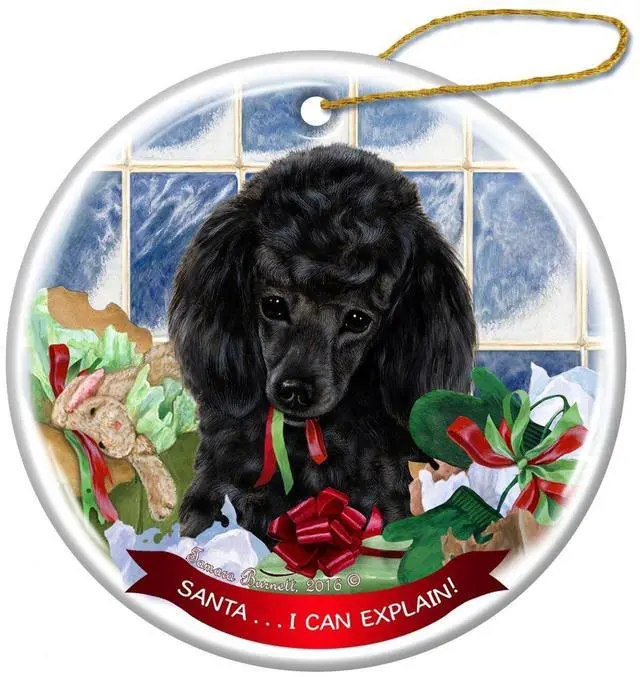 Main image of Black Poodle Dog Porcelain Hanging Ornament Pet Gift 'Santa.. I Can Explain!'