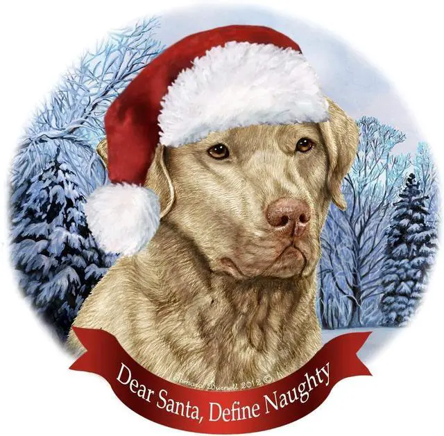 Main image of Holiday Pet Gifts Chesapeake Bay Retriever Dead Grass Porcelain Ornament