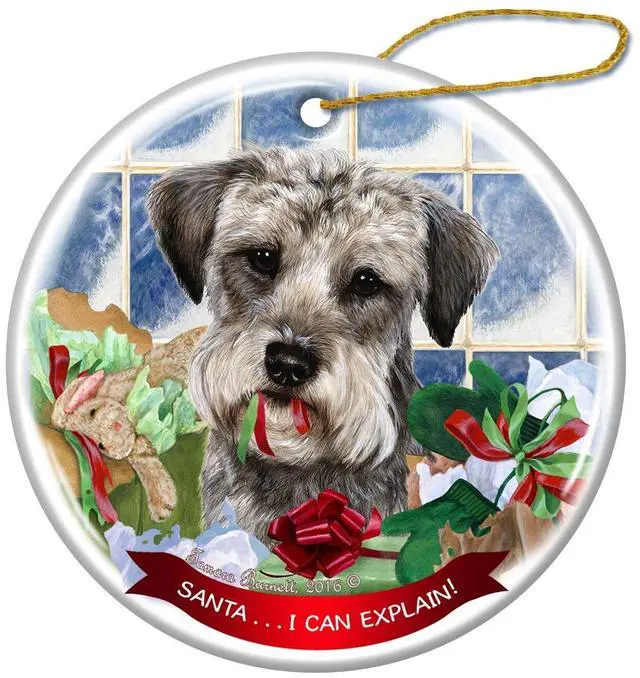 Main image of Schnoodle Dog Porcelain Hanging Ornament Pet Gift 'Santa.. I Can Explain!'