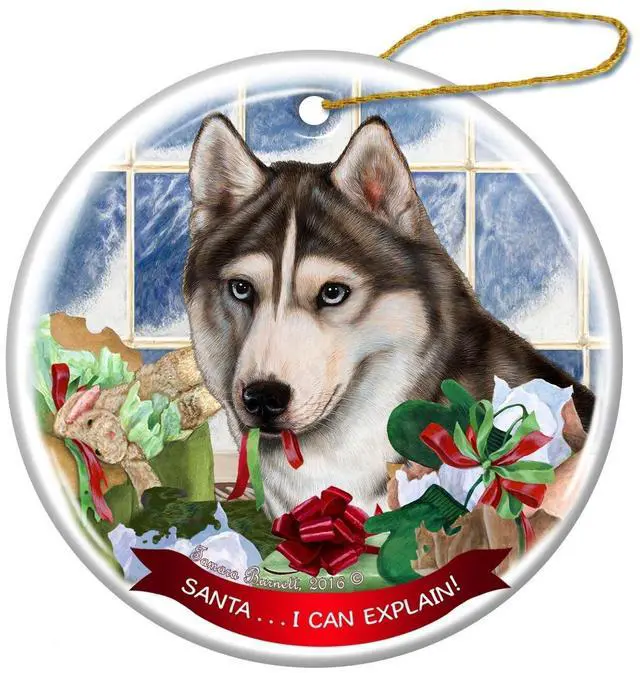 Main image of Grey and White Siberian Husky Dog Porcelain Ornament 'Santa.. I Can Explain!'