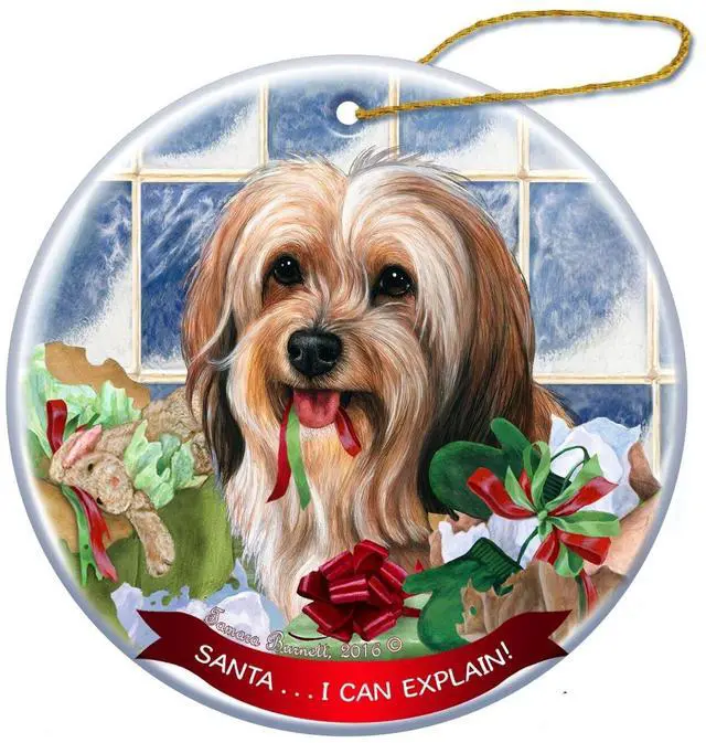 Main image of Sable Tibetan Terrier Dog Porcelain Ornament Pet Gift 'Santa.. I Can Explain!'