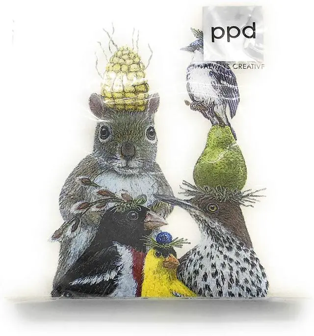 Main image of PAPER PRODUCTS DESIGN Party Under The Feeder Beverage Napkin, 5" x 5", Pkg. 20