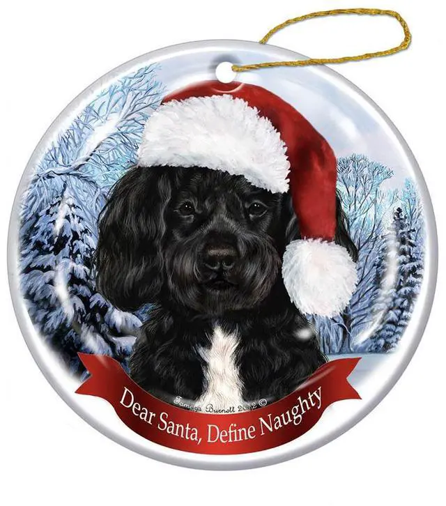 Main image of Holiday Pet Gifts Portuguese Water Santa Hat Dog Porcelain Christmas Ornament