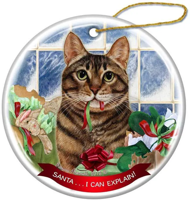 Main image of Brown Tabby Cat Porcelain Hanging Ornament Pet Gift 'Santa.. I Can Explain!'