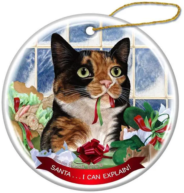 Main image of Tortoiseshell Calico Cat Porcelain Ornament Pet Gift 'Santa.. I Can Explain!'