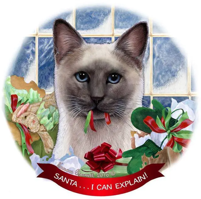 Main image of Siamese Blue Point Cat Porcelain Ornament Pet Gift 'Santa.. I Can Explain!