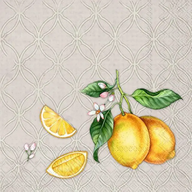 Main image of Boston International 5 x 5 in. Paper Cocktail Napkin Citrons Grey - Pack of 20