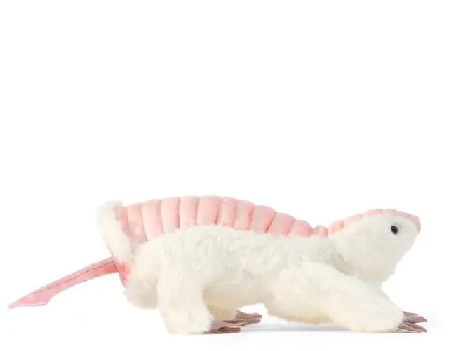 Alt view image 2 of 4 - Folkmanis Pink Fairy Armadillo Hand Puppet