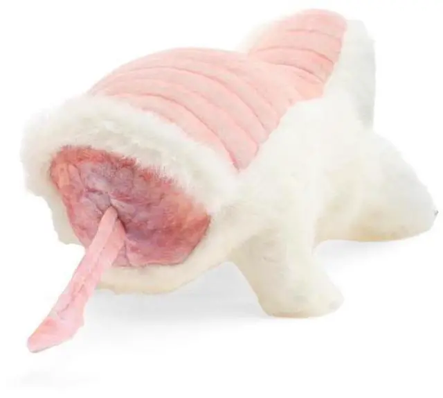 Alt view image 3 of 4 - Folkmanis Pink Fairy Armadillo Hand Puppet