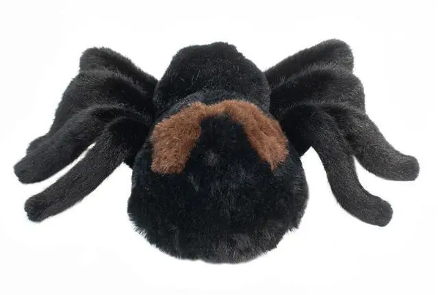 Alt view image 2 of 3 - Douglas Cuddle Toys Sneakie Soft Spider Plush Stuffed Animal , 7"