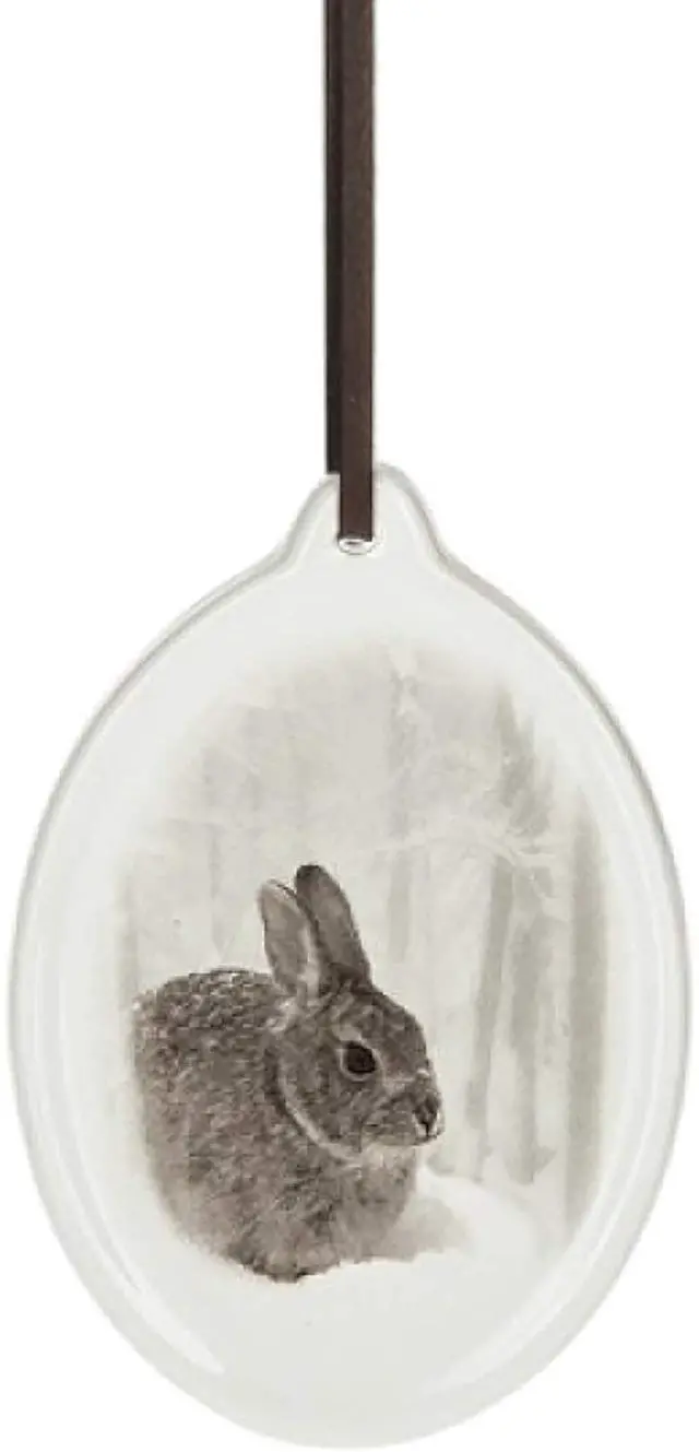 Main image of Ganz Rabbit Animal Hanging Christmas/Everyday Ornament, 5" Dolomite