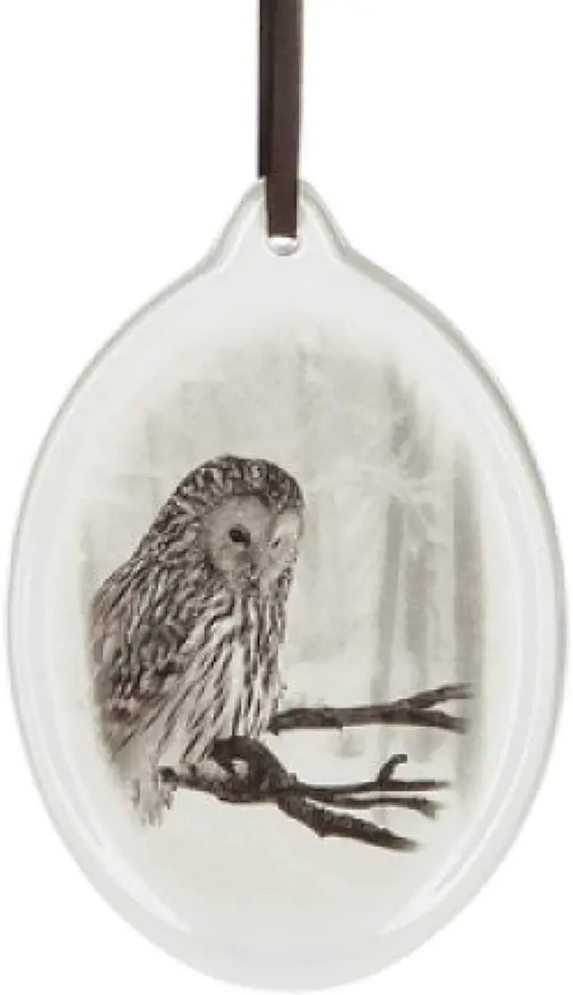 Main image of Ganz Owl Animal Hanging Christmas/Everyday Ornament, 5" Dolomite