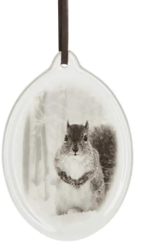 Main image of Ganz Squirrel Animal Hanging Christmas/Everyday Ornament, 5" Dolomite