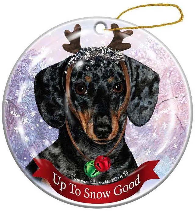 Main image of Holiday Pet Gifts Dachshund SH Dark Dapple Dog Porcelain Christmas Ornament