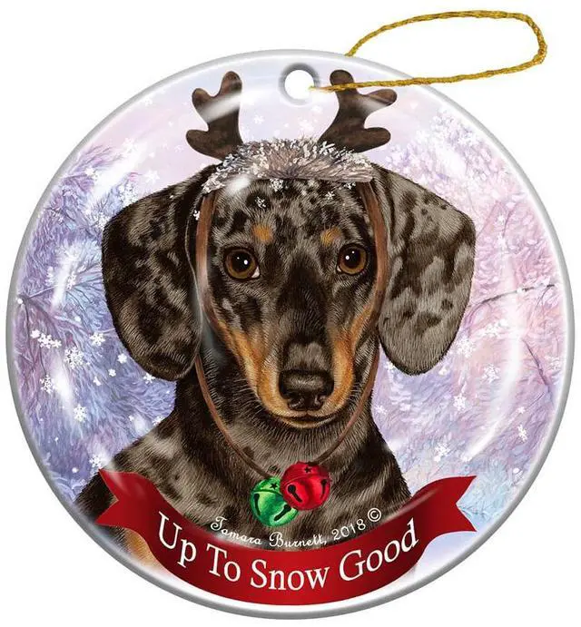 Main image of Holiday Pet Gifts Dachsund SH Dapple Chocolate Dog Porcelain Christmas Ornament