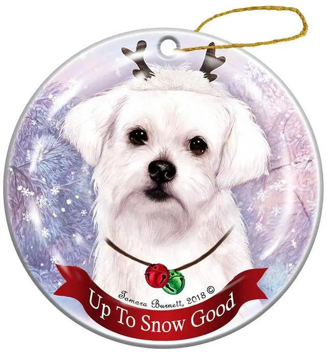 Main image of Holiday Pet Gifts Maltese Dog Porcelain Reindeer Christmas Ornament