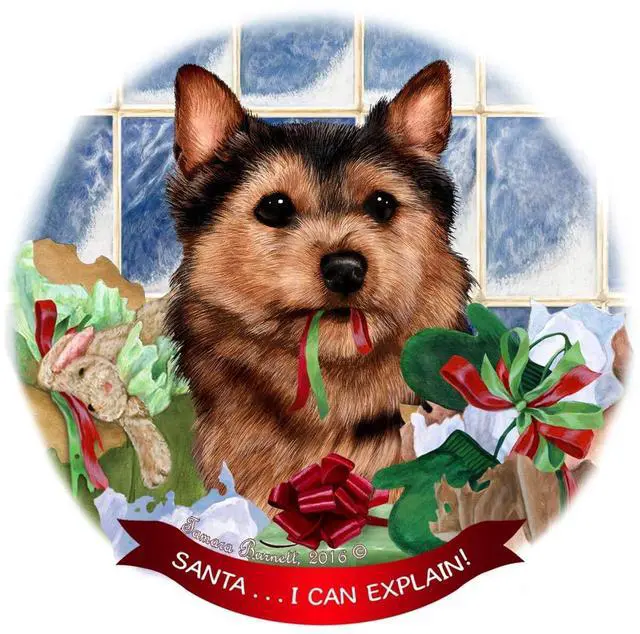 Main image of Norwich Terrier Black/Tan Dog Porcelain Ornament 'Santa. I Can Explain!'