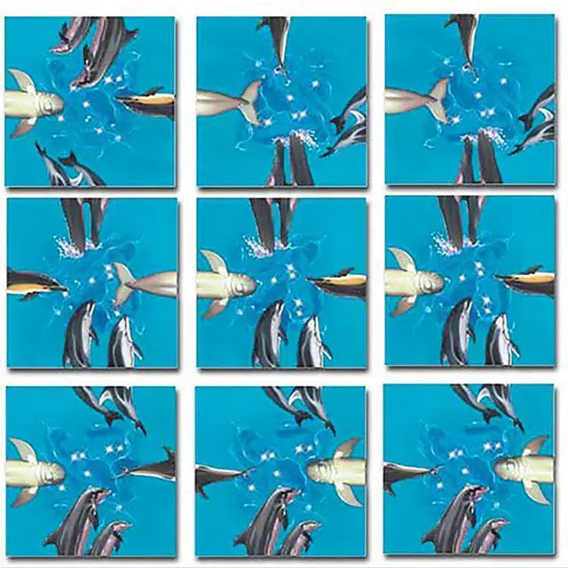 Main image of Scramble Squares: Dolphins