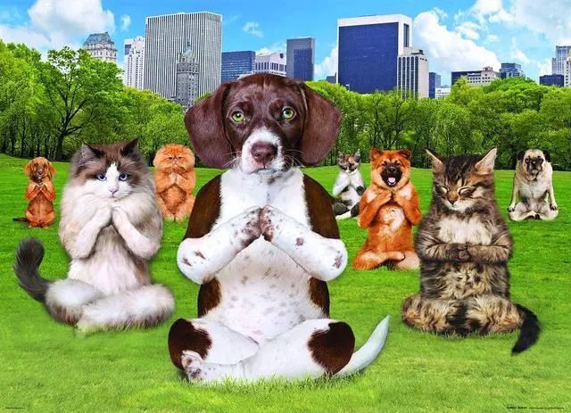 Alt view image 2 of 3 - EuroGraphics Dogs and Cats Yoga Park Jigsaw Puzzle (300-Piece)