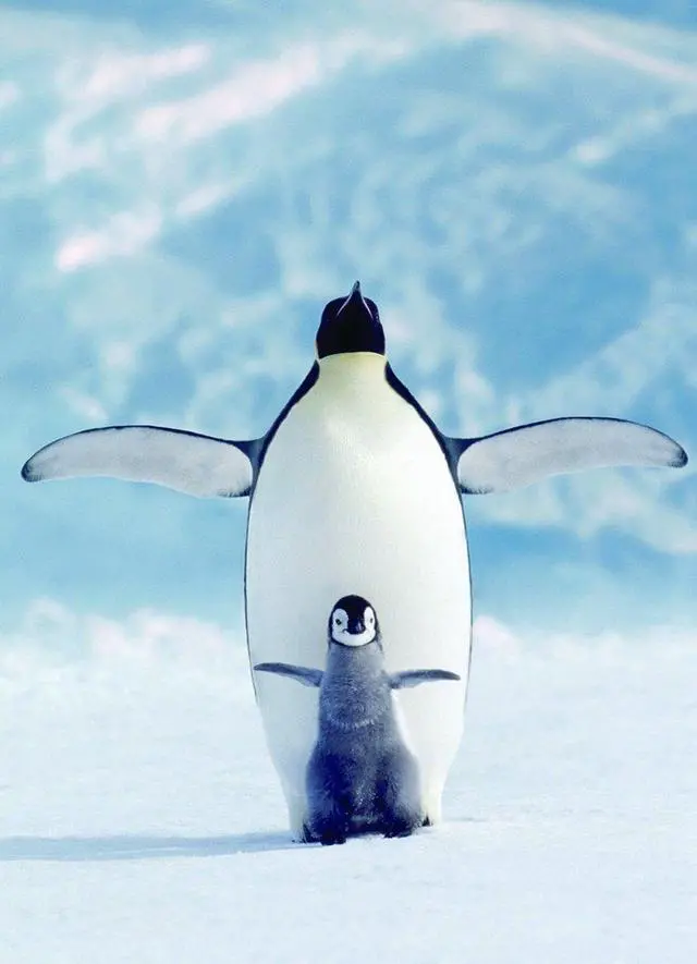 Alt view image 2 of 2 - EuroGraphics Penguin & Chick Small Box Puzzle (1000 Pieces)